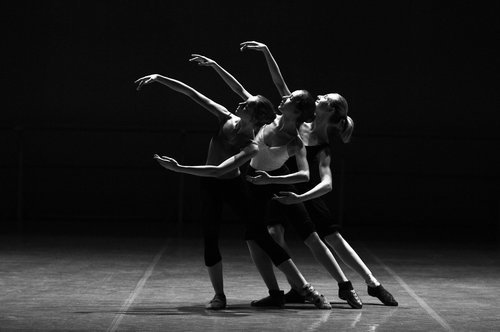 ballerinas-1376250_1920.jpg